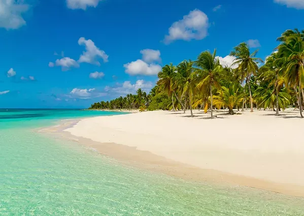 Playa de República Dominicana, aguas cristalinas y palmeras en la arena